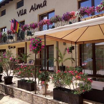 Фотографии Гостевой дом Vila Alma г. Бэйле-Феликс (Румыния) №1 Фото Гостевой дом Vila Alma г. Бэйле-Феликс 1