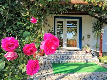 Фотографии Гостевой дом Teo Guest Rooms г. Бэйле-Феликс (Румыния) №2 Фото Гостевой дом Teo Guest Rooms г. Бэйле-Феликс 2