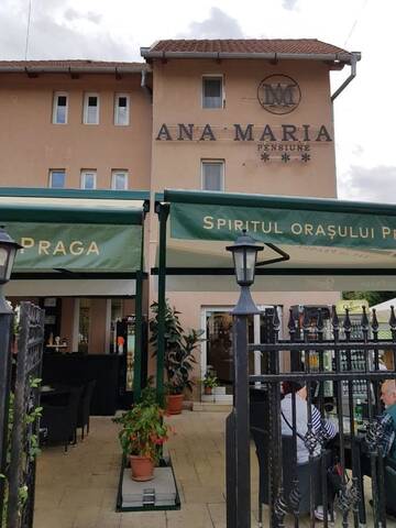 Фотографии Гостевой дом Pensiunea Ana Maria г. Бэйле-Феликс (Румыния) №3 Фото Гостевой дом Pensiunea Ana Maria г. Бэйле-Феликс 3