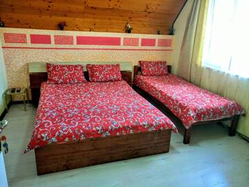 Фото номера Трехместный номер с собственной ванной комнатой Гостевой дом Teo Guest Rooms г. Бэйле-Феликс 5