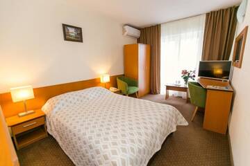 Фото номера Одноместный номер Отель Hotel Poienița г. Бэйле-Феликс 9