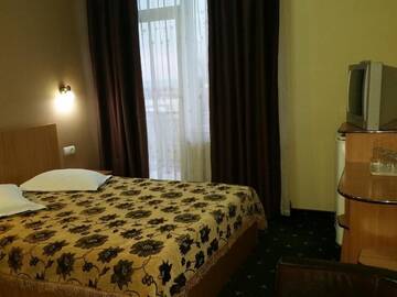 Фото номера Двухместный номер с 1 кроватью Виллы Vila Crinul г. Бэйле-Феликс 7