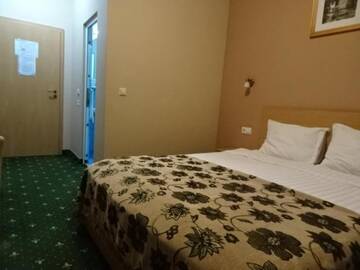 Фото номера Двухместный номер с 1 кроватью Виллы Vila Crinul г. Бэйле-Феликс 19