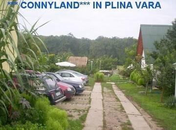 Фото номера Дом с 1 спальней Дома для отпуска Pensiunea CONNYLAND г. Бэйле-Феликс 2