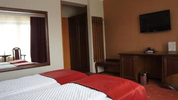 Фото номера Двухместный номер с 1 кроватью или 2 отдельными кроватями Отель Hotel President г. Бэйле-Феликс 3