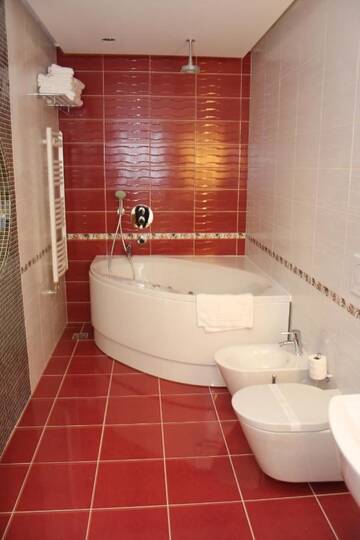 Фото номера Люкс Отель Hotel President г. Бэйле-Феликс 7